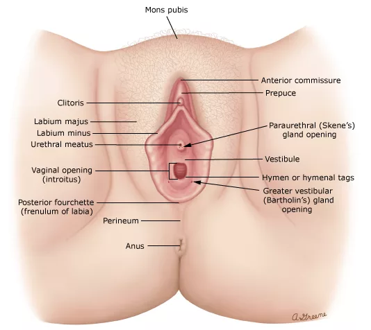 les injections d'acide hyaluronique dans les grandes lèvres Clinique Rivoli Massena 2