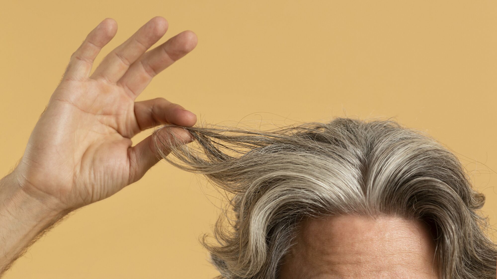 Les signes d'une greffe de cheveux réussie en Medecine Esthetique Clinique Rivoli Massena 2 les signes d'une greffe de cheveux réussie en Medecine Esthetique Clinique Rivoli Massena 2