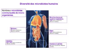 micronutrition clinique rivoli massena